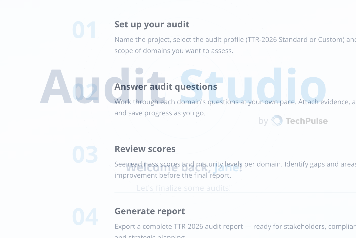 Audit steps overview
